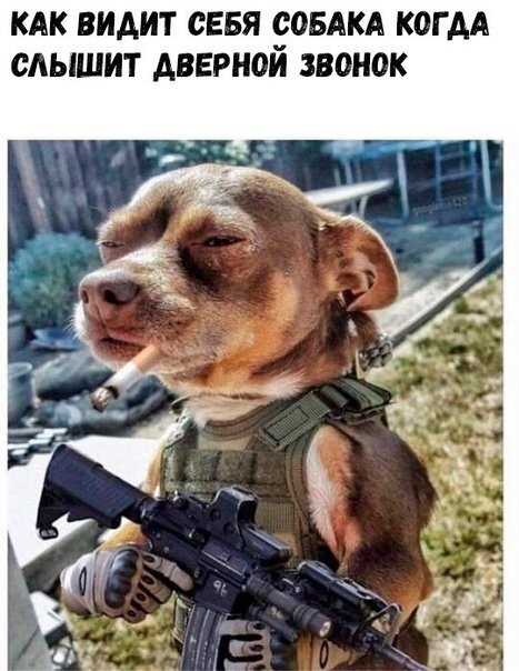 Влияние