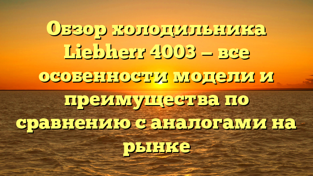 Обзор холодильника Liebherr 4003 — все особенности модели и преимущества по сравнению с аналогами на рынке