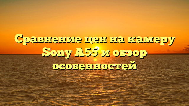Сравнение цен на камеру Sony A55 и обзор особенностей