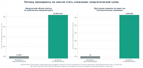 Как ищут первую сложную жизнь на Земле: почему эволюции понадобилось два миллиарда лет на одну клетку
Как ищут первую сложную жизнь на Земле: почему эволюции понадобилось два миллиарда лет на одну клетку